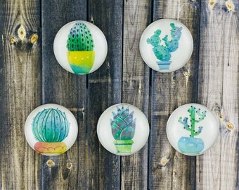 Cactus Magnets, Succulent Plant Magnets, Houseplant Magnet, Plant Lover Magnet | Housewarming Gift, Plant Decor, Christmas Day Gifts