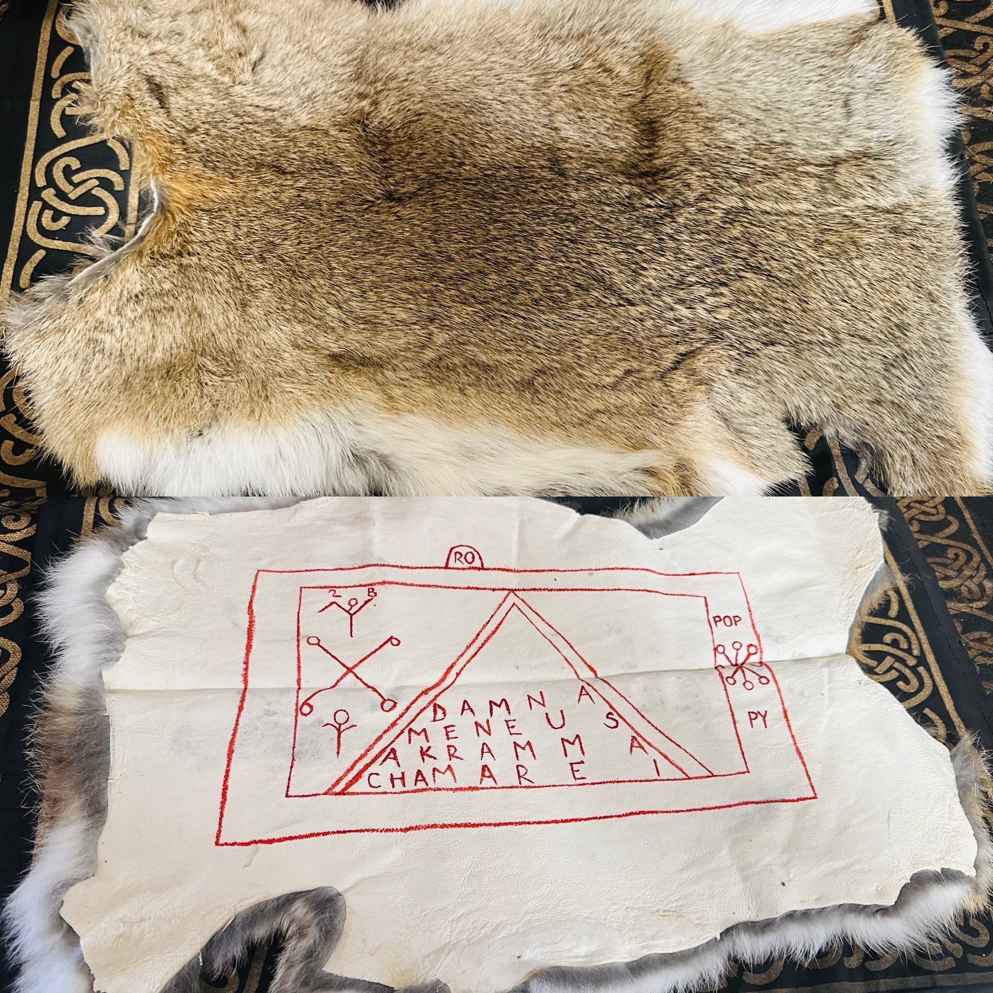 Stele of Aphrodite Rabbit Pelt - Etsy