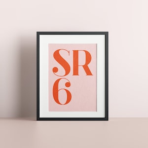 May include: A black framed print with a pink background and the text "SR 6" in orange.