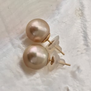 Gorgeous AAA 12.5mm Round Natural Color Famous Cream Rose South Sea Cultured Pearl Stud Earrings with 14k Gold Backing