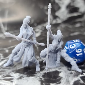 Monk Twins - RESIN - Printed Obsession - Githyanki Githzerai Gitn