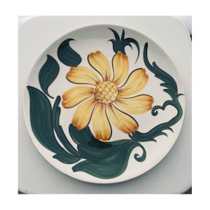 Wade hand illustrated flower plates x2