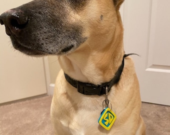 scooby ears and collar