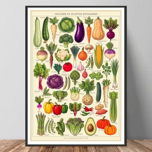 Puede incluir: Un póster botánico enmarcado titulado LEGUMES ET PLANTES POTAGERES que presenta una cuadrícula de ilustraciones coloridas de varias verduras, incluyendo calabaza, repollo, berenjena, zanahorias, remolacha, maíz, tomates, pimientos y espárragos sobre un fondo crema.