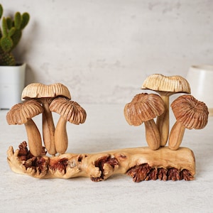 Art en bois de champignons, statue sculptée à la main, bois parasite, décoration d&#39;étagère, sculpture sur bois, figurine, décoration tropicale, esthétique, cadeau grand-père