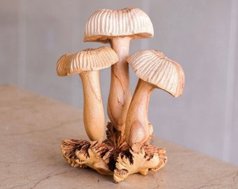 Mushroom Sculpture, Natural Piece, Wood Carving, Statue, Wooden, Unique Ornament, Cottagecore Decor, Couple Gift, Table Decor, Gift for Her