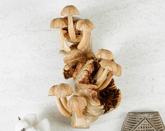 Hongos para colgar en la pared, estatua, arte de pared, figura, talla de madera, escultura, decoración de pared, adorno, arte único