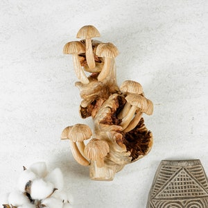 Wall Hanging Mushrooms, Statue, Wall Art, Figurine, Wood Carving, Sculpture, Wall Decor, Ornament, Unique Art, Office Decor, Best Gift