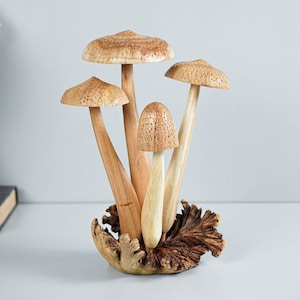 Sponge Mushrooms Statue, Forest Art, Garden Decor, Burl Wood, Natural, Handmade Statue, Sculpture, Room Decor, Grandma Gifts, Gift for Her
