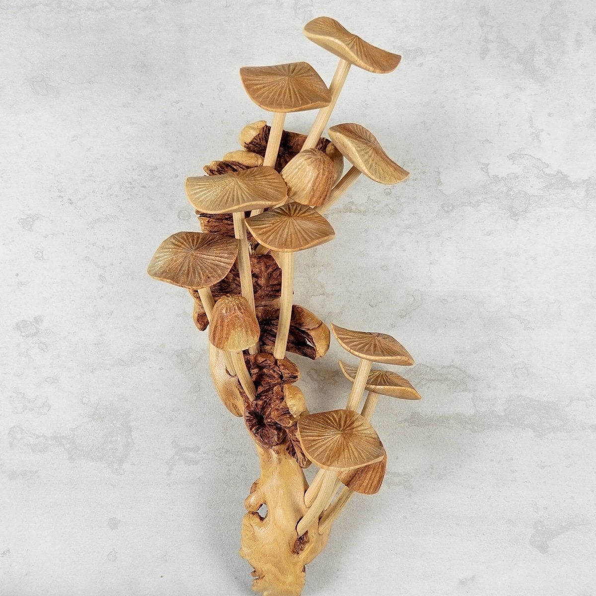 Mushrooms Wall Hanging, Statue, Wall Art, Wood Carving, Sculpture, Handmade Decor, Fungi Wall Decor, Unique, Exotic, Birthday Gifts, Art - Etsy