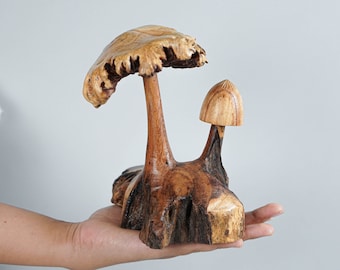 Può includere: Una scultura in legno intagliata a mano che raffigura due funghi di dimensioni diverse fissati su una base unica. Il fungo più grande presenta un cappello ampio e strutturato con bordi irregolari, mentre il più piccolo ha un cappello liscio e arrotondato.