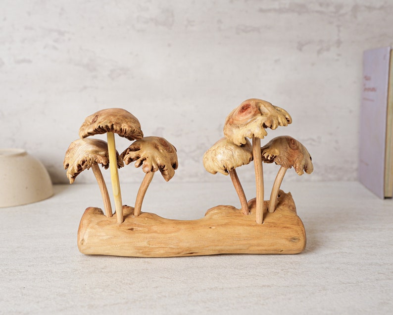 Unique Mushroom Sculpture, Forest, Fungus Art, Statue, Mycology, Wood Carving, Rustic, Housewarming, Tabletop Decor, Gift for Sister image 6