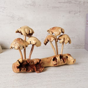 Unique Mushroom Sculpture, Forest, Fungus Art, Statue, Mycology, Wood Carving, Rustic, Housewarming, Tabletop Decor, Gift for Sister image 5