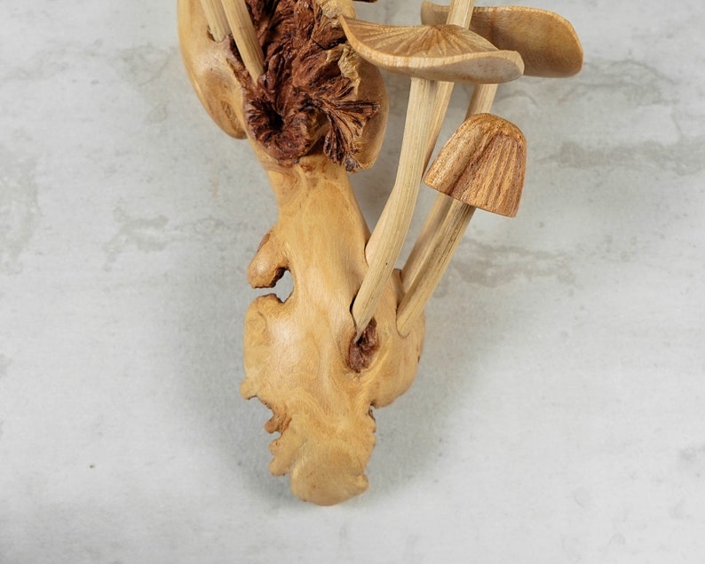 Wall Hanging Mushrooms, Statue, Wall Art, Figurine, Wood Carving, Sculpture, Handmade Decor, Ornament, Unique, Exotic, Mothers Day Gifts image 10