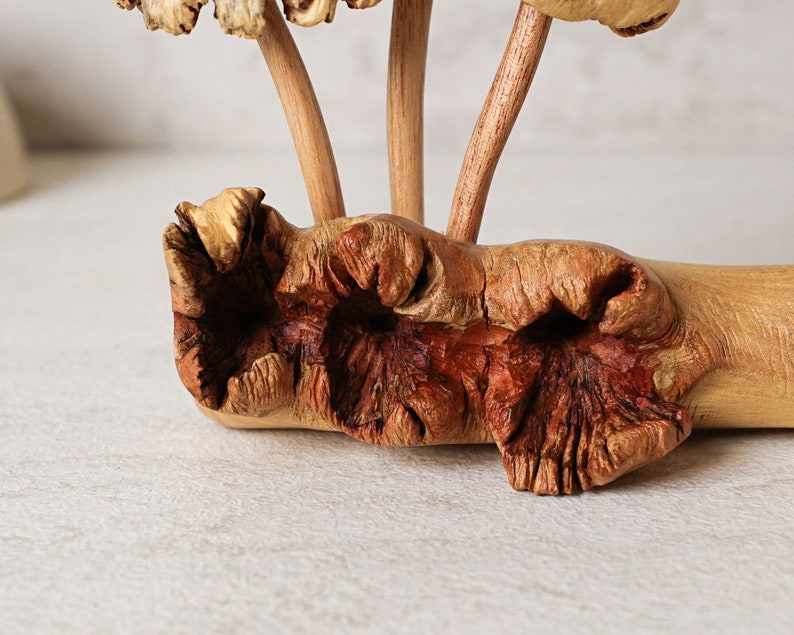 Unique Mushroom Sculpture, Forest, Fungus Art, Statue, Mycology, Wood Carving, Rustic, Housewarming, Tabletop Decor, Gift for Sister image 7