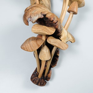 May include: A carved wooden sculpture featuring multiple mushroom caps with detailed radial gills and slender stems emerging from a textured, gnarled piece of natural wood. The light brown wood grain is visible throughout the entire organic structure.