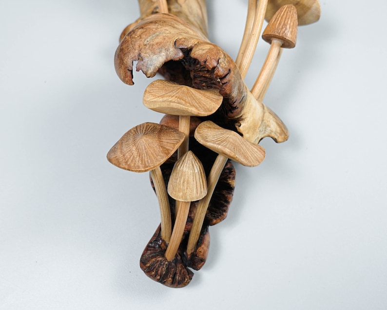 May include: A carved wooden sculpture featuring multiple mushroom caps with detailed radial gills and slender stems emerging from a textured, gnarled piece of natural wood. The light brown wood grain is visible throughout the entire organic structure.