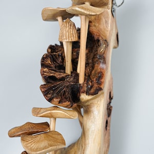 May include: A wall-mounted decorative sculpture carved from light and dark brown wood, featuring multiple mushroom shapes with detailed caps and stems emerging from a textured, gnarled wooden base with a visible metal hanging hook at the top.