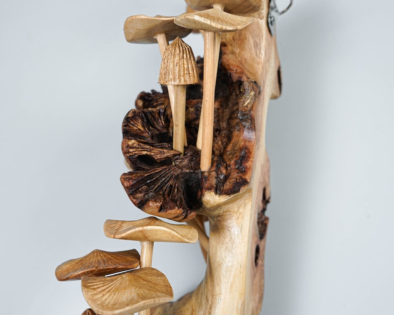 May include: A wall-mounted decorative sculpture carved from light and dark brown wood, featuring multiple mushroom shapes with detailed caps and stems emerging from a textured, gnarled wooden base with a visible metal hanging hook at the top.