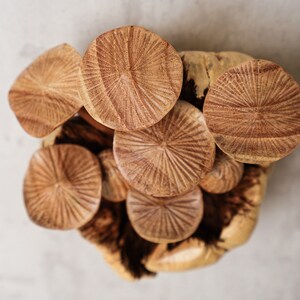 Puede incluir: Una colecci&oacute;n de objetos de madera tallada con forma de seta, con sombreros texturizados de l&iacute;neas radiales en un acabado marr&oacute;n claro. Las partes superiores son circulares y muestran un veteado distintivo, agrupadas sobre una base de madera rugosa.