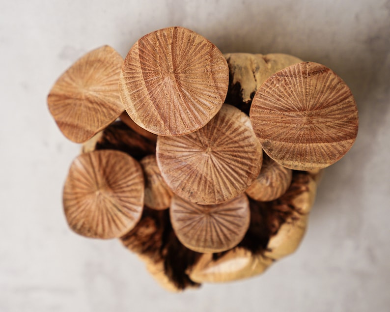 Puede incluir: Una colecci&oacute;n de objetos de madera tallada con forma de seta, con sombreros texturizados de l&iacute;neas radiales en un acabado marr&oacute;n claro. Las partes superiores son circulares y muestran un veteado distintivo, agrupadas sobre una base de madera rugosa.