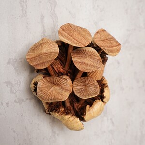 Decoración de pared de hongo, estatua colgante, arte, hada, bosque, figura de madera, tallado en madera, escultura, decoración bohemia imagen 7