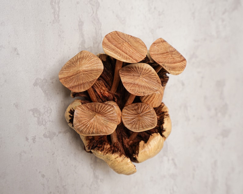 Decoración de pared de hongo, estatua colgante, arte, hada, bosque, figura de madera, tallado en madera, escultura, decoración bohemia imagen 7
