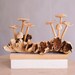 Wooden Mushroom Sculpture, Forest, Nature, Statue, Wood Carving, Figurine, Home Decor, Ornament, Unique, Birthday Gifts, Gifts for Her, Mom 