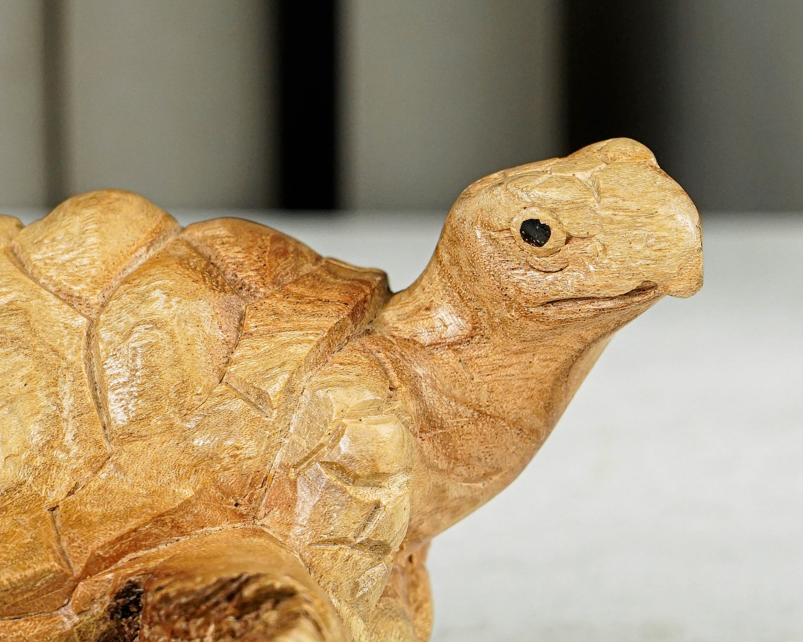 木製の亀の像、亀の彫刻、木彫り、自然アート、素朴な彫刻、アート