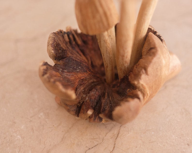 Small Mushroom, Mini Mushroom, Rustic Decor