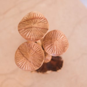 Small Mushroom, Mini Mushroom, Rustic Decor