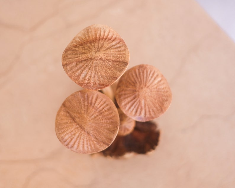 Small Mushroom, Mini Mushroom, Rustic Decor