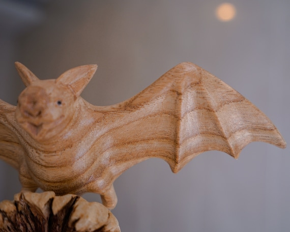 YOSOO Maison à Chauve-souris en Bois pour Jardin - Abri Chauve-souris