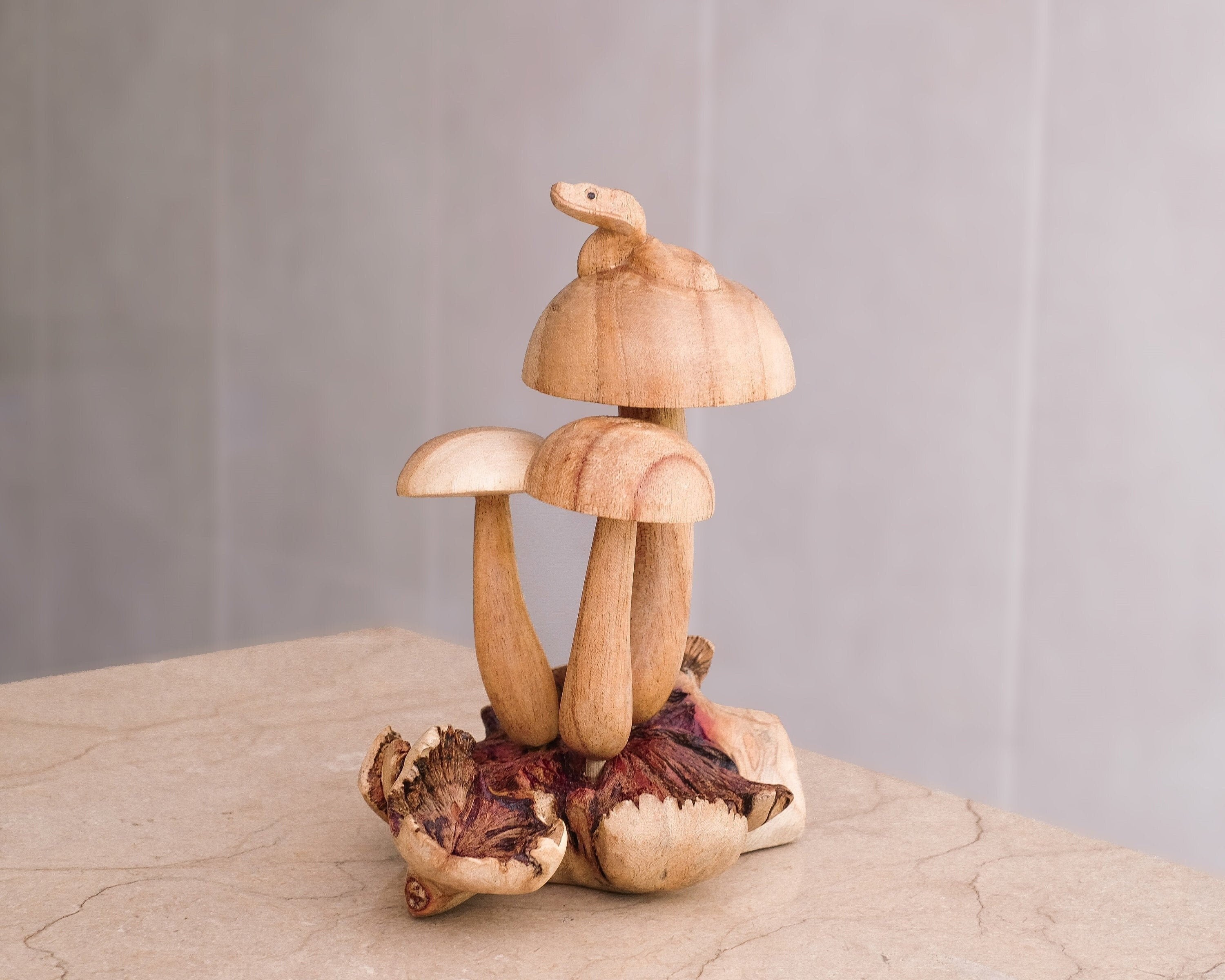 Sculpture en bois de serpent sur champignon, ornement de reptile, fait main, statue personnalisée, animal, décoration cottagecore, cadeau pour maman, cadeau pour la maison
