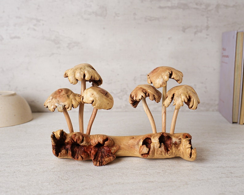 Unique Mushroom Sculpture, Forest, Fungus Art, Statue, Mycology, Wood Carving, Rustic, Housewarming, Tabletop Decor, Gift for Sister image 4