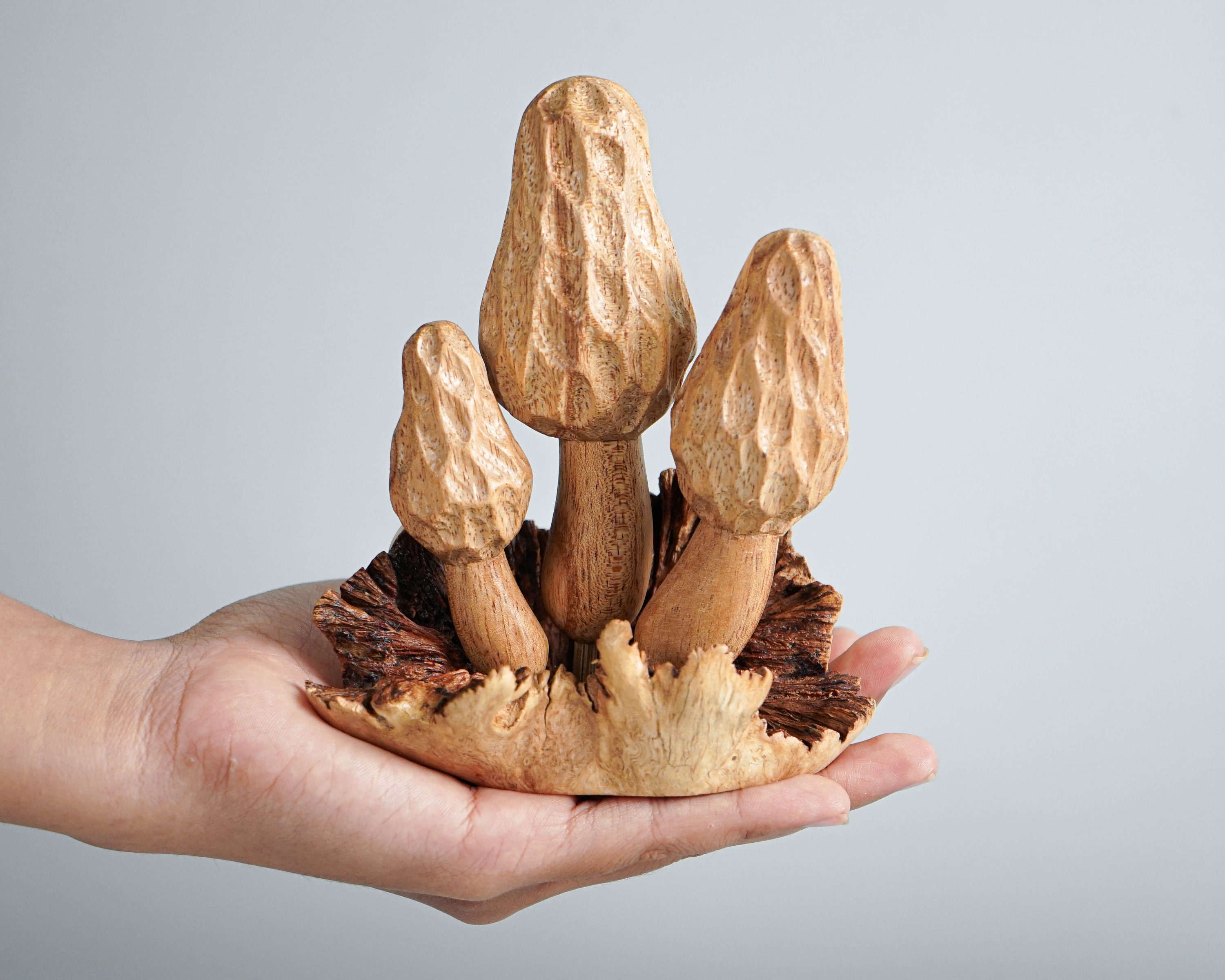 Sculpture De Champignons - 170 en vente sur 1stDibs  champignon sculpture, sculpture  champignon bois, champignon en bois sculpte