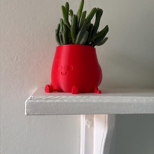 May include: A red, smiling, 3D printed planter with legs, holding a small green succulent plant.