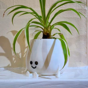 May include: A white ceramic planter with a smiling face and small legs, holding a green and white spider plant.
