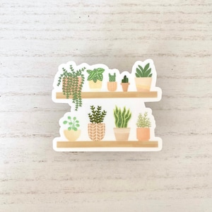 Plant Shelf Sticker | Potted Plants | Plant Mom | Plant Parent | House Plants | Water bottle Sticker | Laptop Sticker