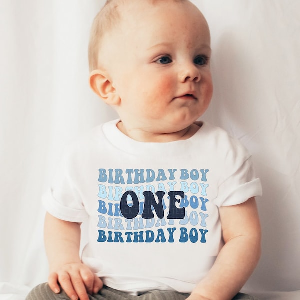 Birthday Boy Shirt First Birthday Boy Tee Boys Birthday Gift 1st Birthday Shirt One Shirt Birthday T-Shirt Cute Boys Birthday Tee Boys Bday