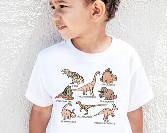 Dinosaur Shirt Dinosaur Shirts For Kids Tee Toddler Shirt Baby Cute Dino Shirt Dinosaur Tee Cute Gift For Kids T-Rex Shirt Stegosaurus