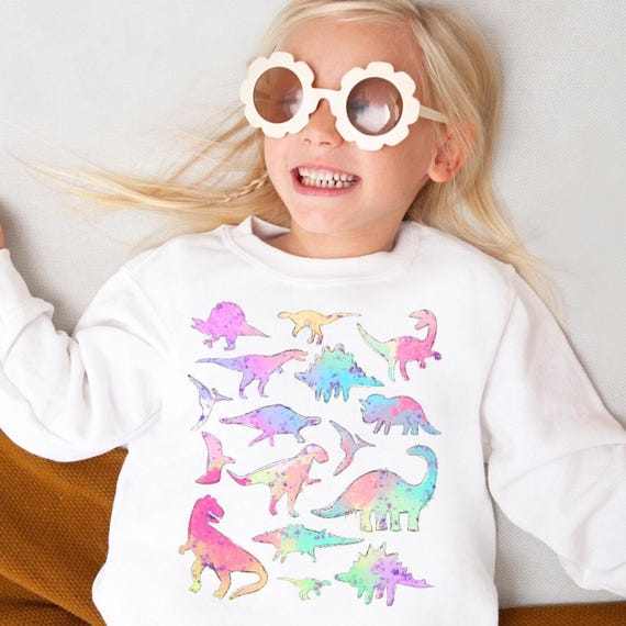 Dinosaur Sweatshirt Dinosaur Lover Sweatshirts For Kids Sweatshirt Toddler Sweatshirt Baby Cute Crewneck Dino Shirt Dinosaur Gift For Her