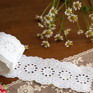 Cotton Machine Embroidery | Broderie Anglaise Trim, 13.8m
