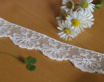 100% Cotton Embroidered Tulle Gallon Trim in Ivory, 9.2 m