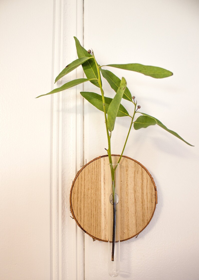 Wall Mounted Wood Slice Propagation Vase Bud Vase Etsy