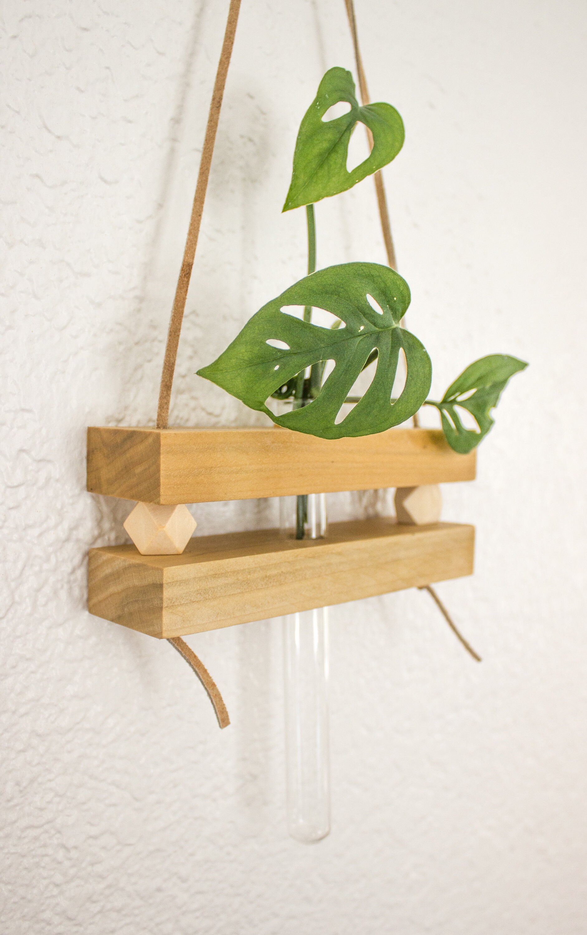 Hanging Propagation Station Hanging Bud Vase Test Tube Etsy