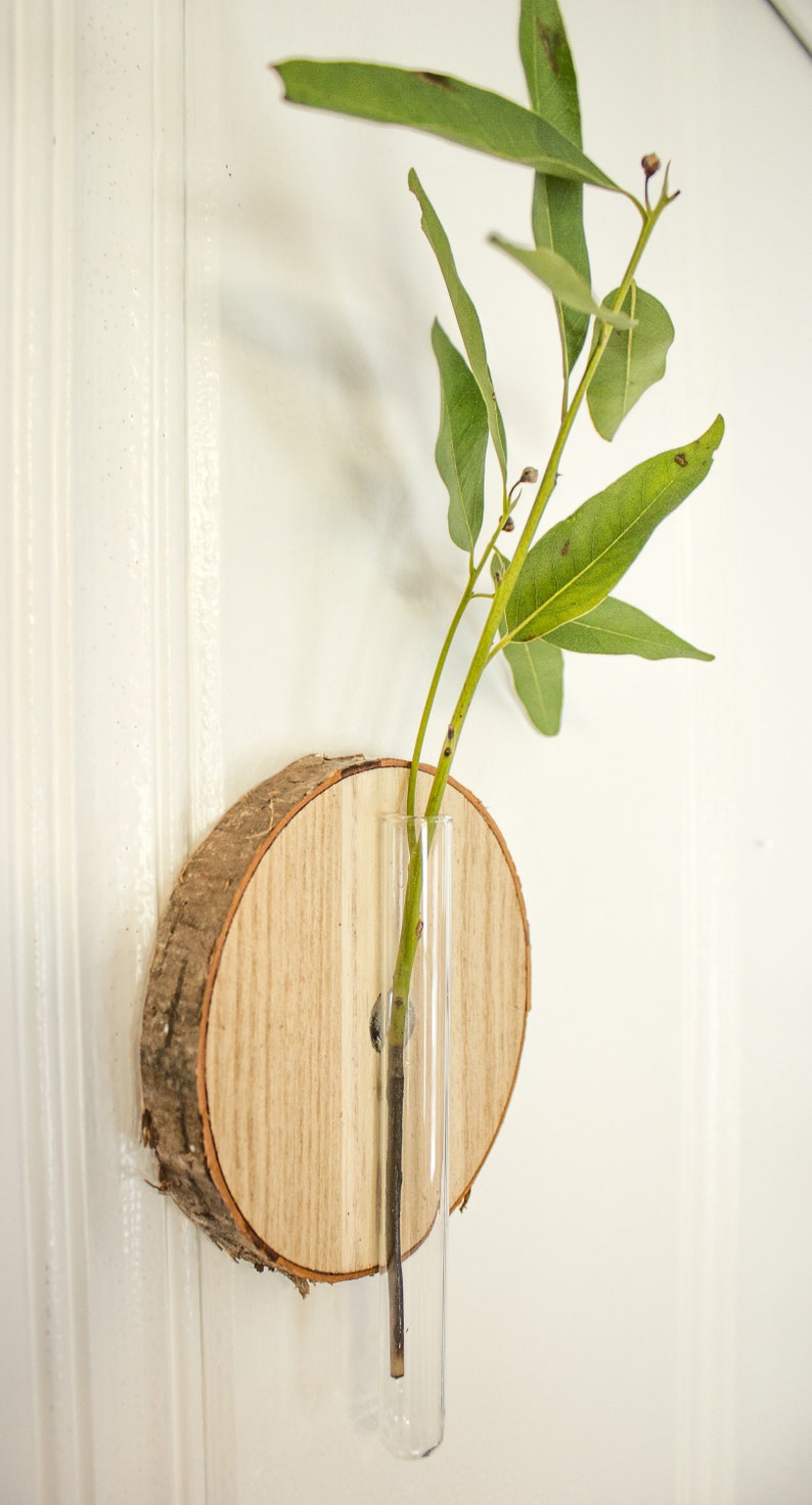 Wall Mounted Wood Slice Propagation Vase Bud Vase Etsy