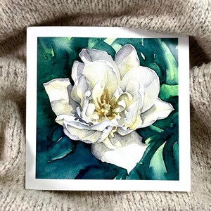 Tulipe blanche - carte de voeux - Pâques - carte d'anniversaire - printemps - peinture de fleurs blanches - aquarelle - carré - blanc - enveloppe incluse
