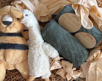 Goose & Tiger TWINN Newborn Collection