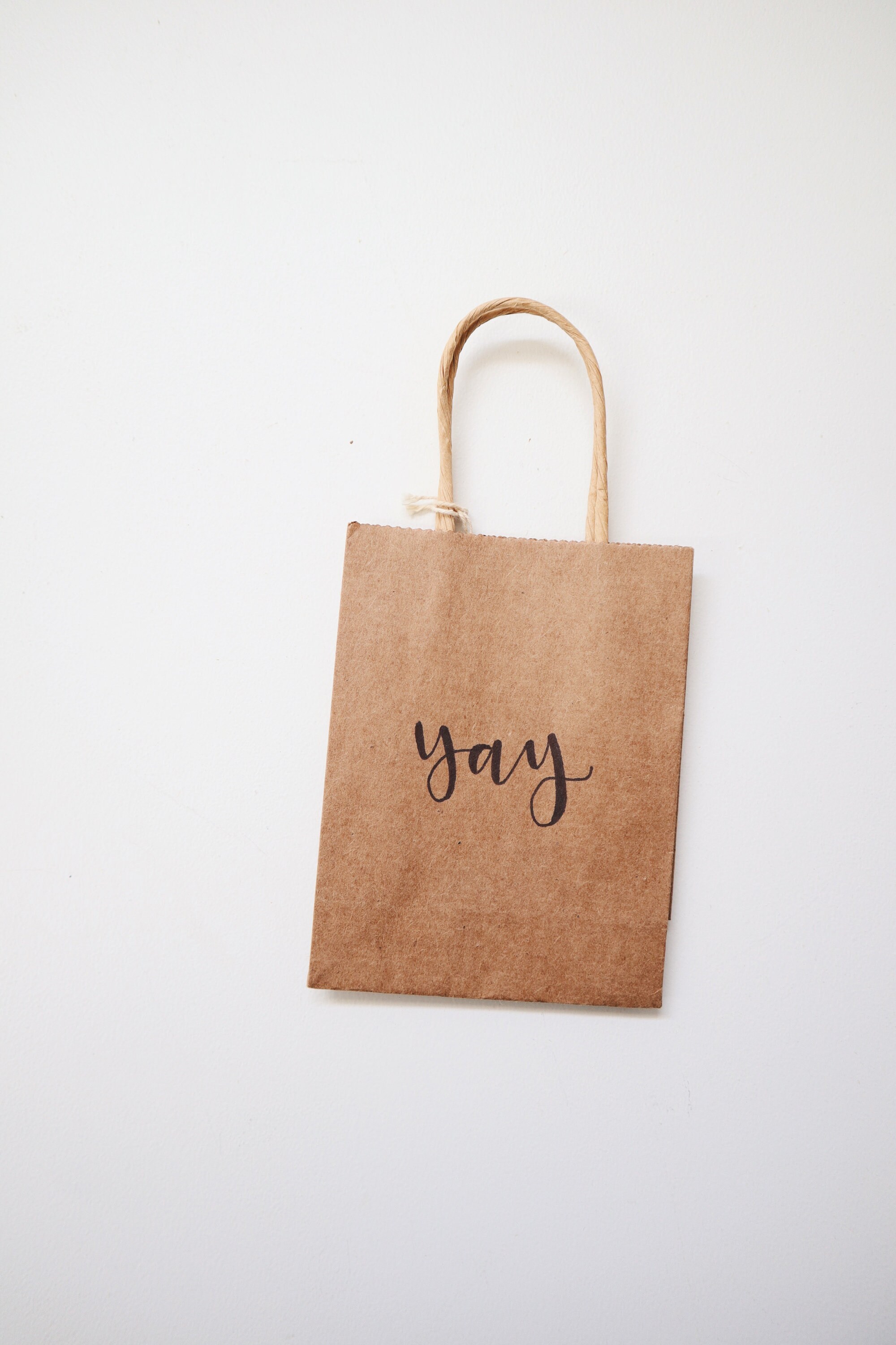 Yay Gift Bag, Mini Gift Bag, Holiday Gift Bag, 4x5 Gift Bag, Bag  